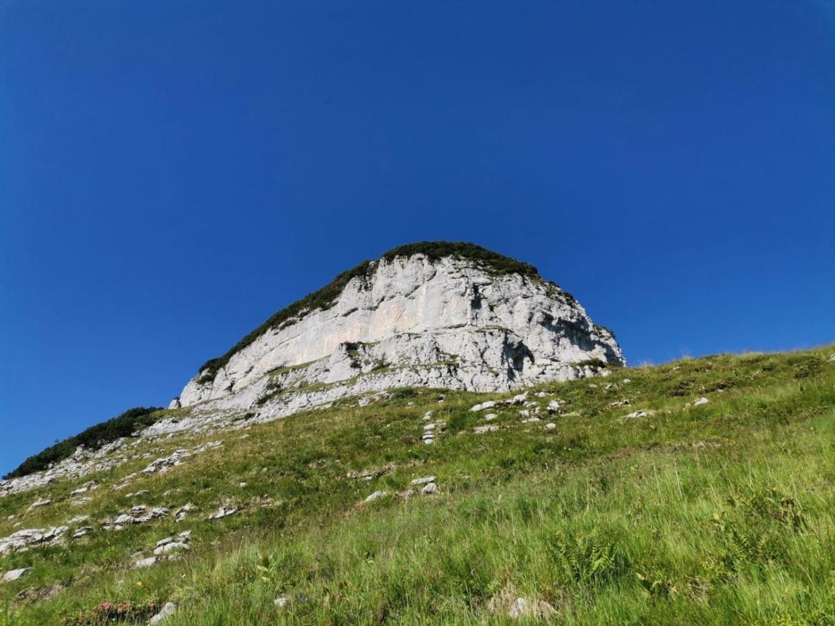 Guetl Plank Apartment Altaussee Bagian luar foto